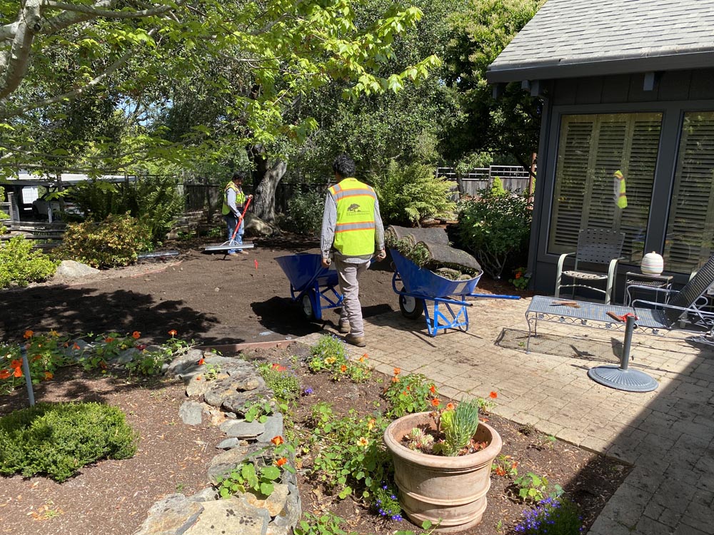 Commercial landscape maintenance — Oak River Landscaping
