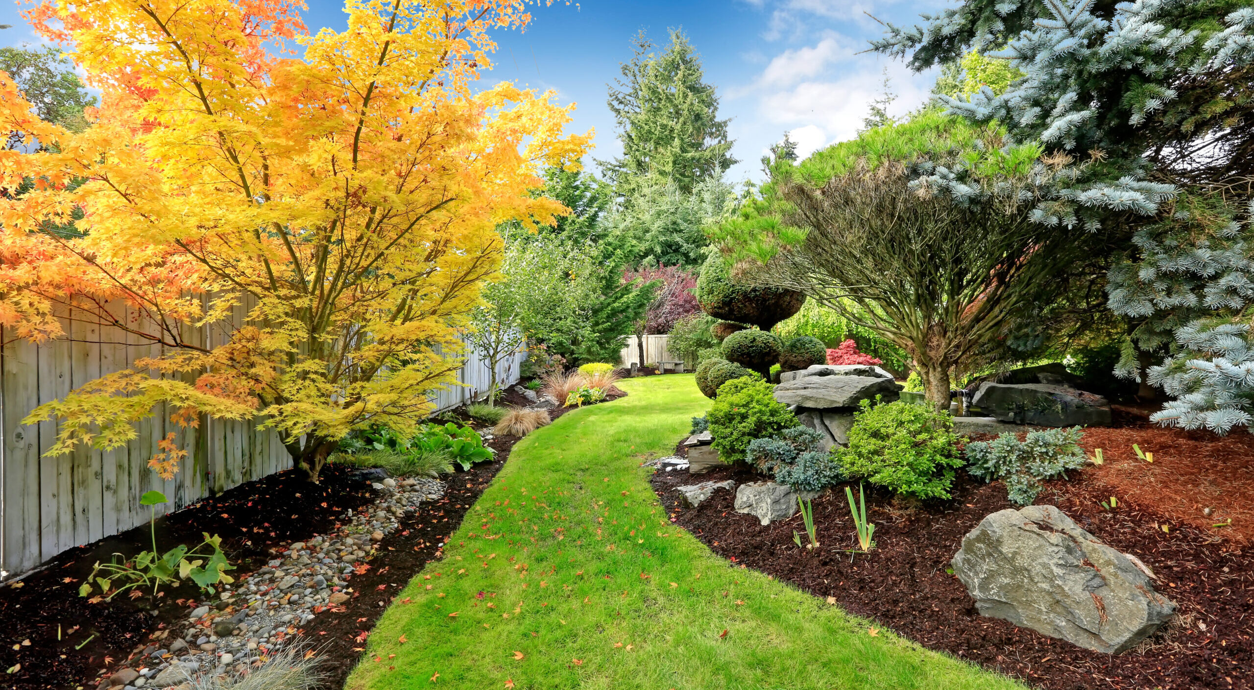 Native planting and garden design