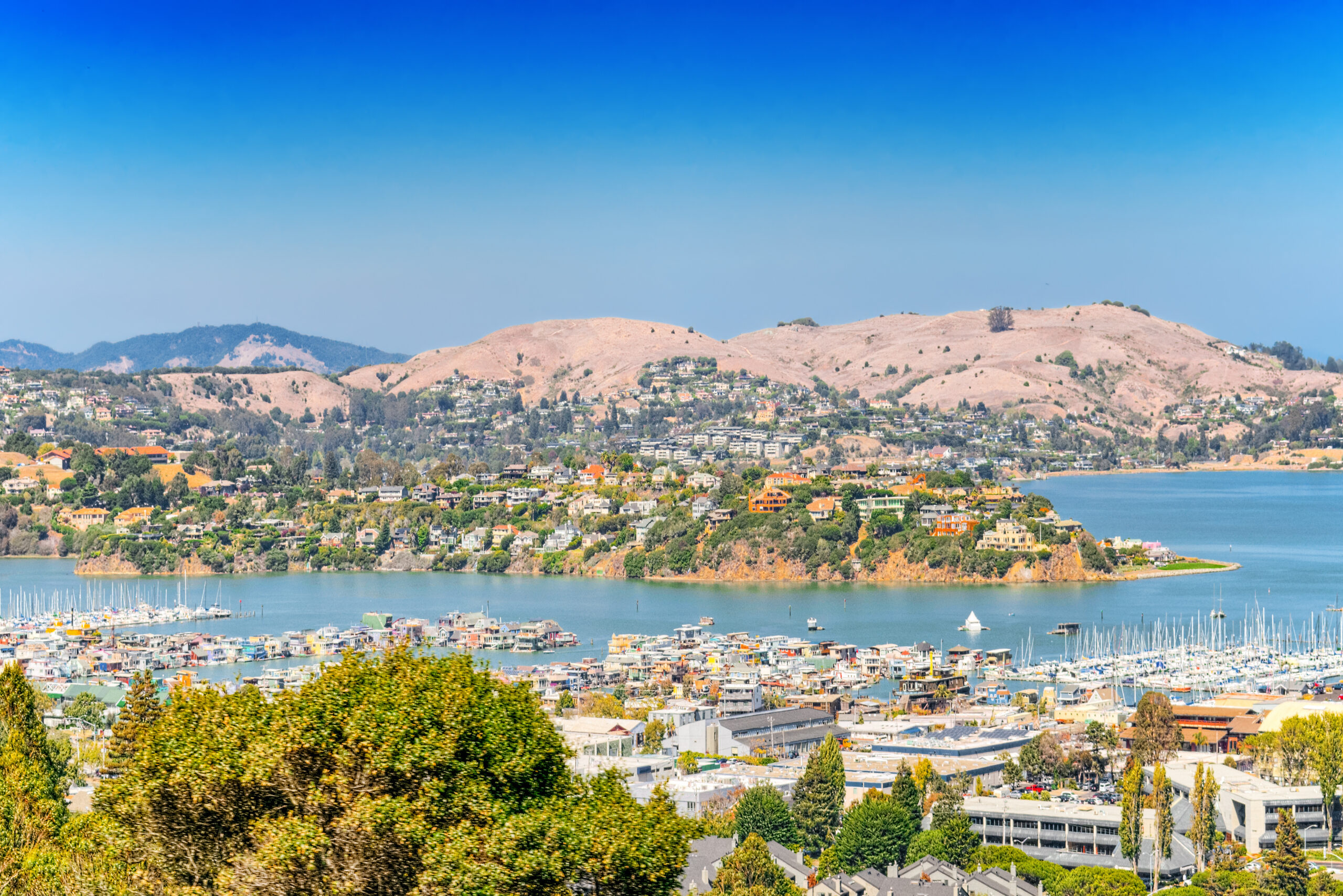 Marin County landscape — Oak River Landscaping