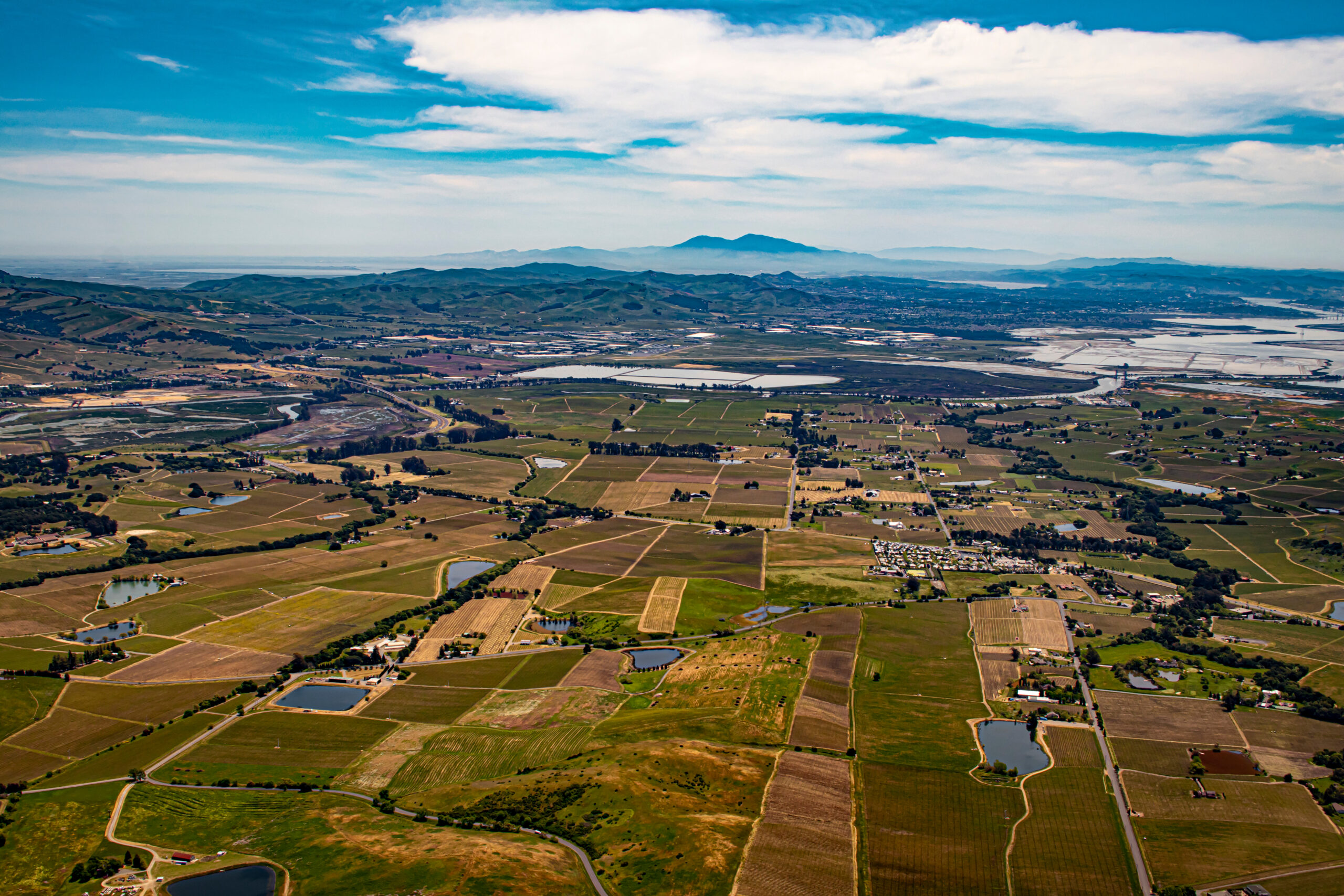 Fitch Mountain Wine Country Estate — vineyard lighting in Healdsburg