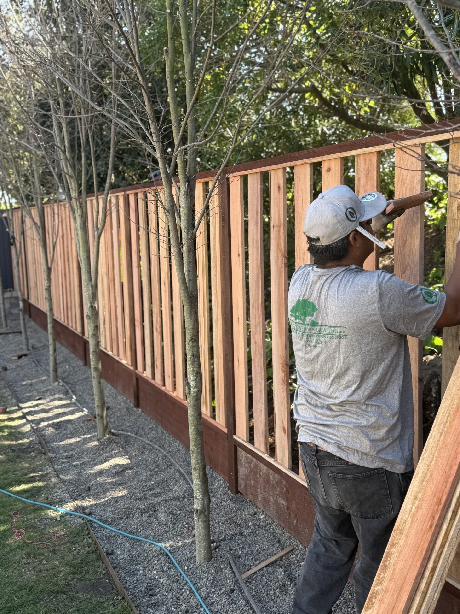 Landscape design and build project