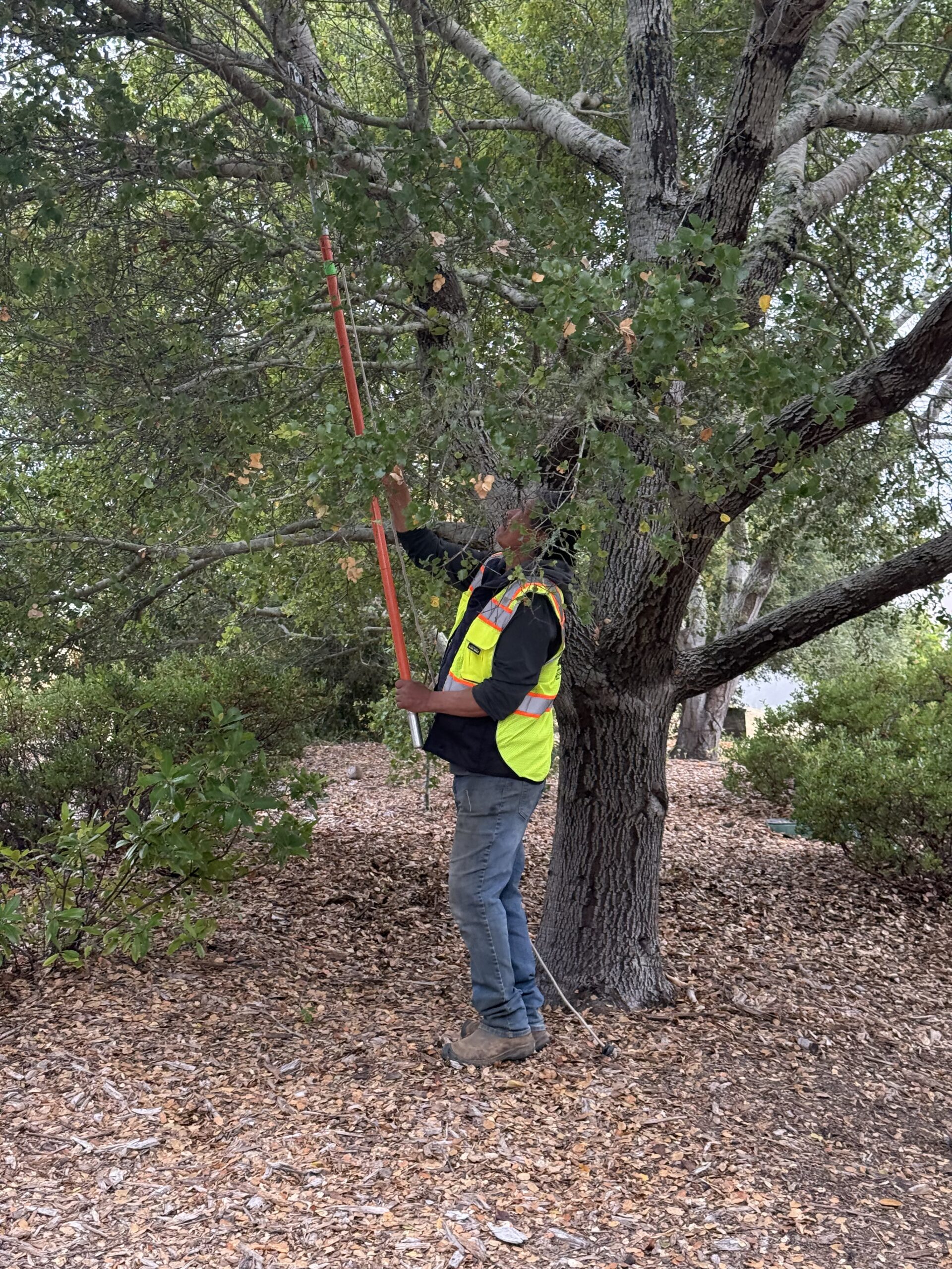 Yountville Estate — estate care and maintenance